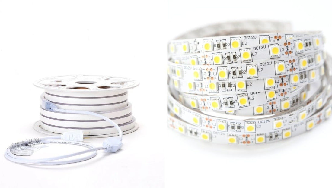 LED Neon Rope Light vs. LED Lights: Which One Shines Brighter? - LEDMyPlace