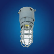 Jelly Jar Lights Jelly Jar Lights