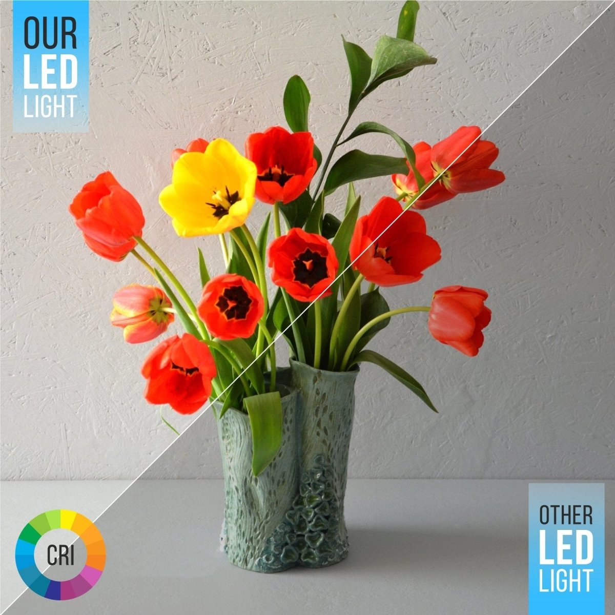 6" 12W LED Slim Panel Recessed Ceiling Light CCT Changeable 2700K/3000K/3500K/4000K/5000K, with Junction Box, Round - LEDMyPlace