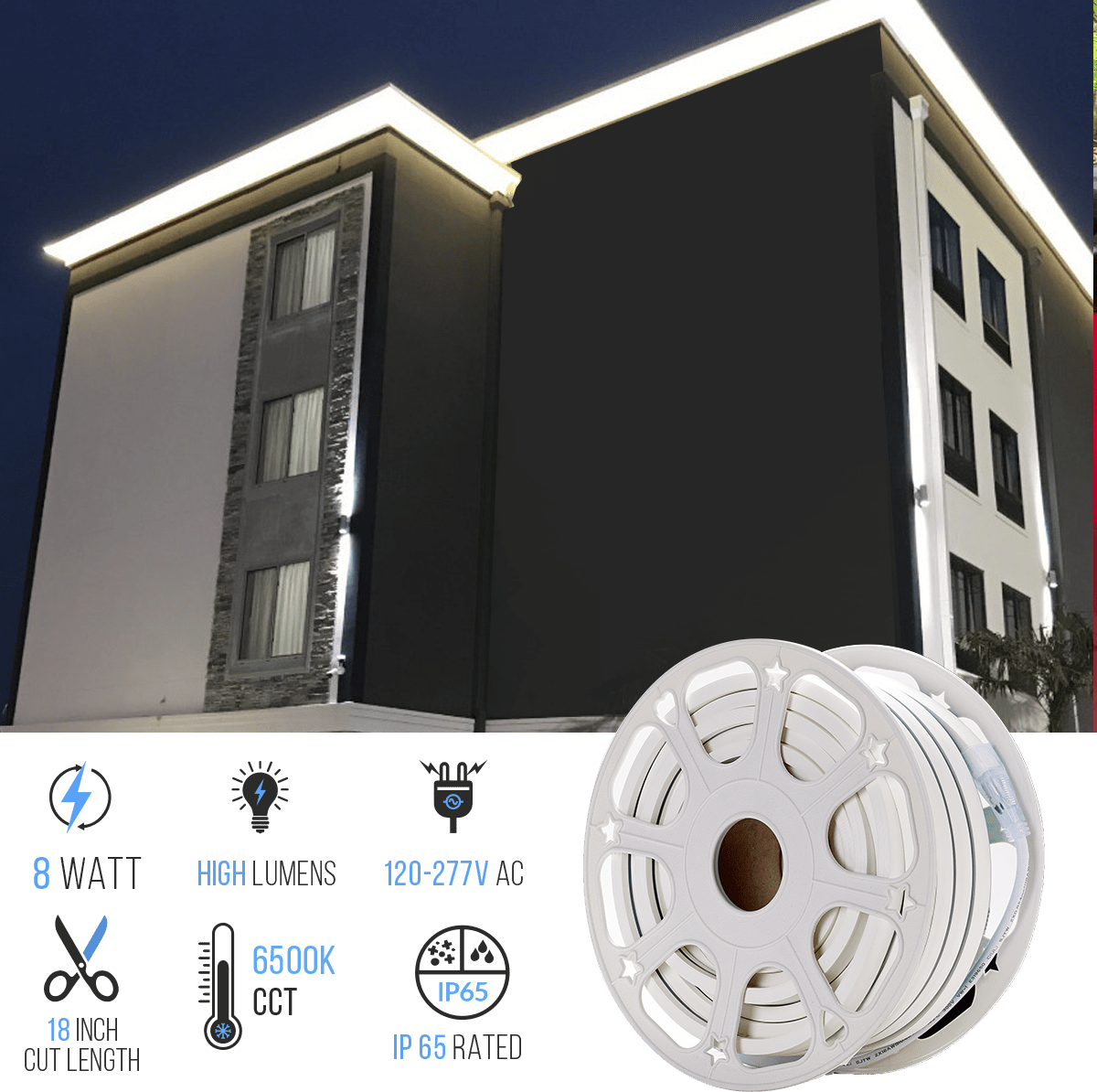 LED Neon Rope Light, AC120V, ETL, UL Listed (white), Indoor Outdoor IP65 Waterproof Ambient Decorative Light - LEDMyPlace