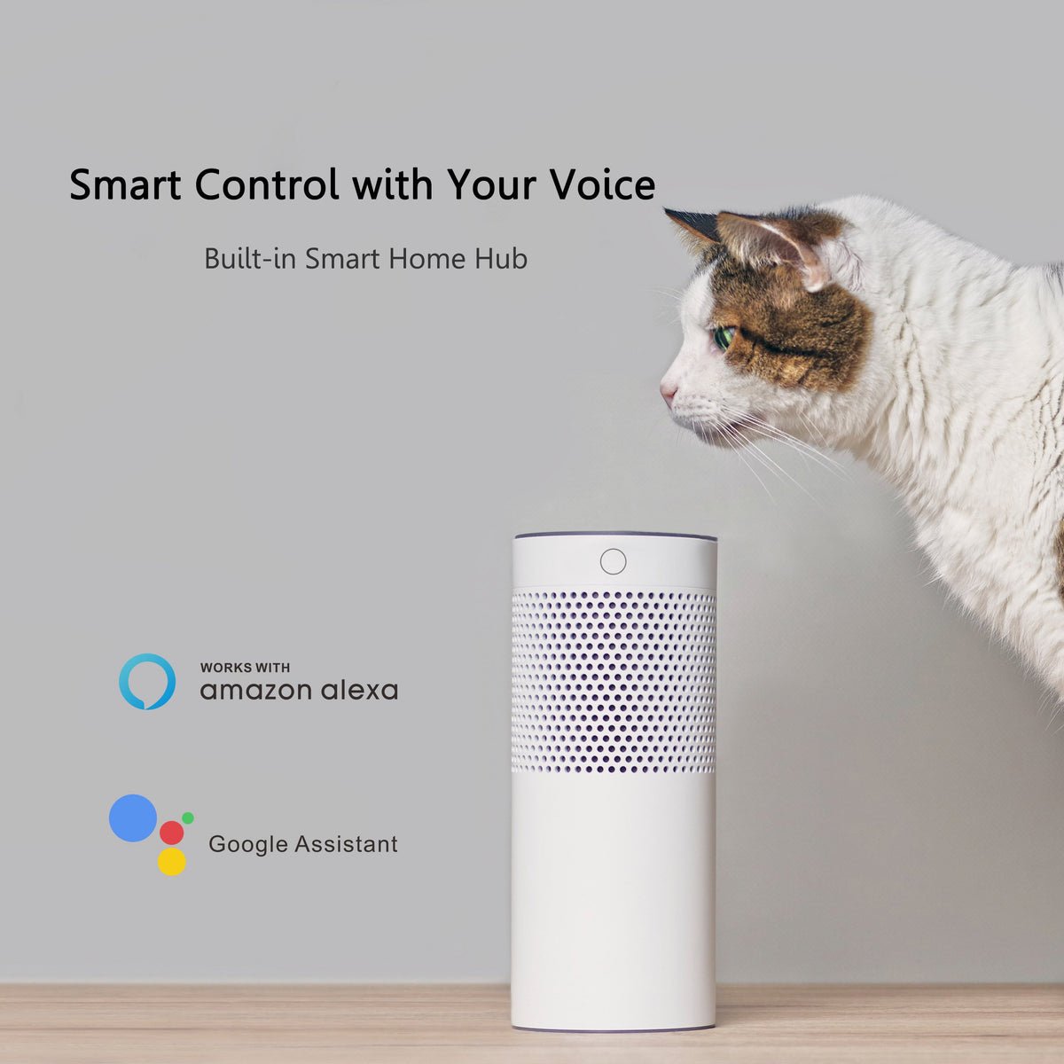Pilot Best Smart Wall Switch For Ceiling Fans(1 - Gang), Google Assistant, and Siri Shortcuts, Works with Amazon Alexa - LEDMyPlace