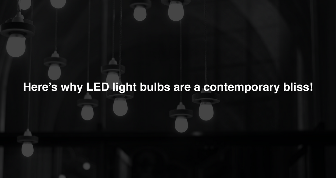 Here’s Why LED Light Bulbs are a Contemporary Bliss!