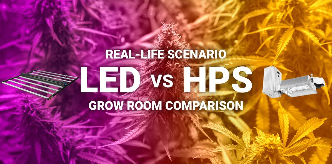 Are LED Grow Lights Better than HPS Bulbs?