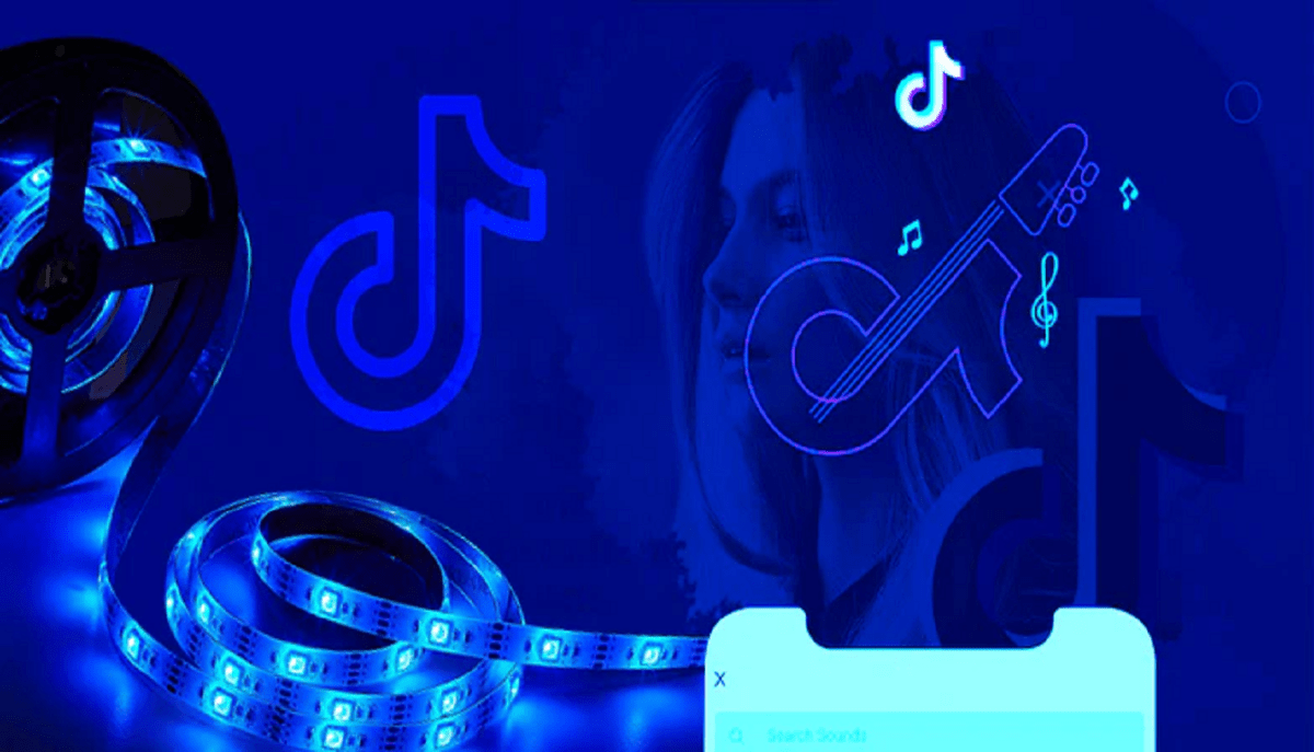 LED Strip Lights The Unofficial TikTok Lights