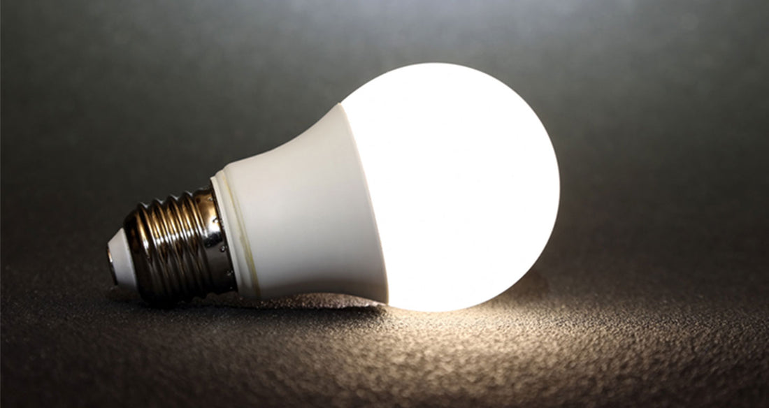 LED Light Bulbs: Everything You Should Know Before Buying