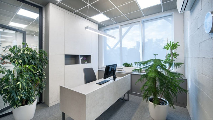 What is the Best Light for a Home Office?