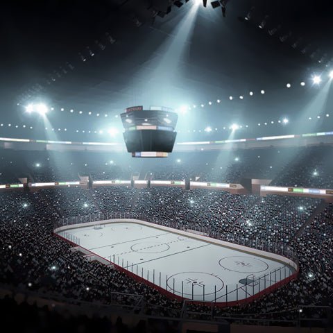 Arena Lights - LedMyPlace