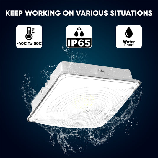 LED Canopy Light 35W 5700K Daylight 4550LM IP65 Waterproof 0-10V Dim 120-277VAC UL Listed Surface or Pendant Mount, for Gas Stations Outdoor Area Light White