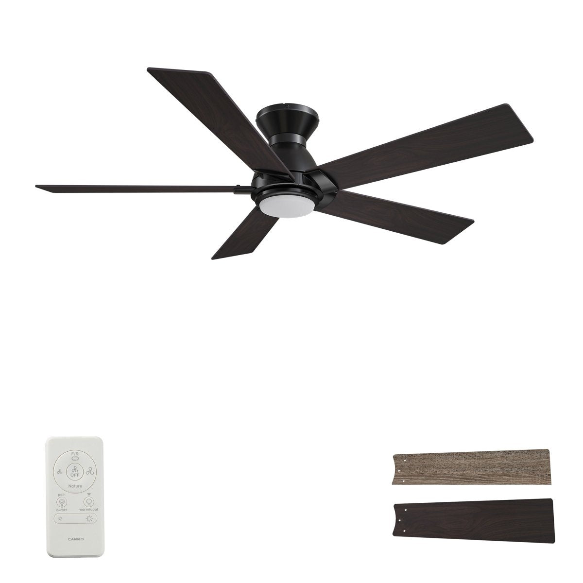 ASCENDER 48 inch 5 - Blade Flush Mount Smart Ceiling Fan with LED Light & Remote - LEDMyPlace