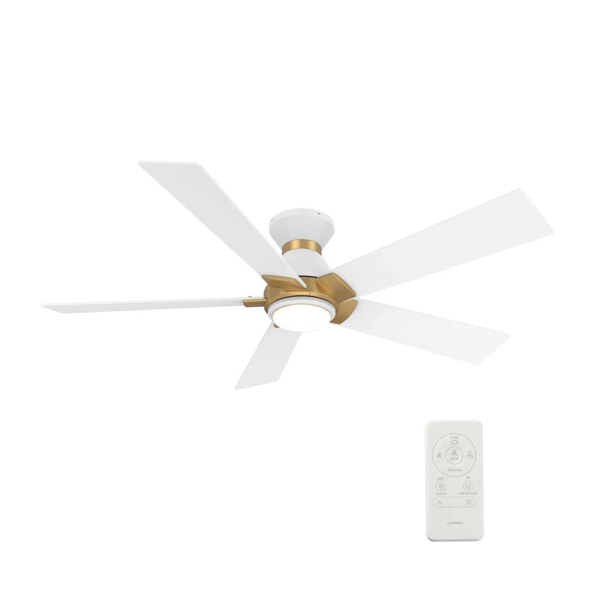 ASCENDER 48 inch 5 - Blade Flush Mount Smart Ceiling Fan with LED Light & Remote - LEDMyPlace