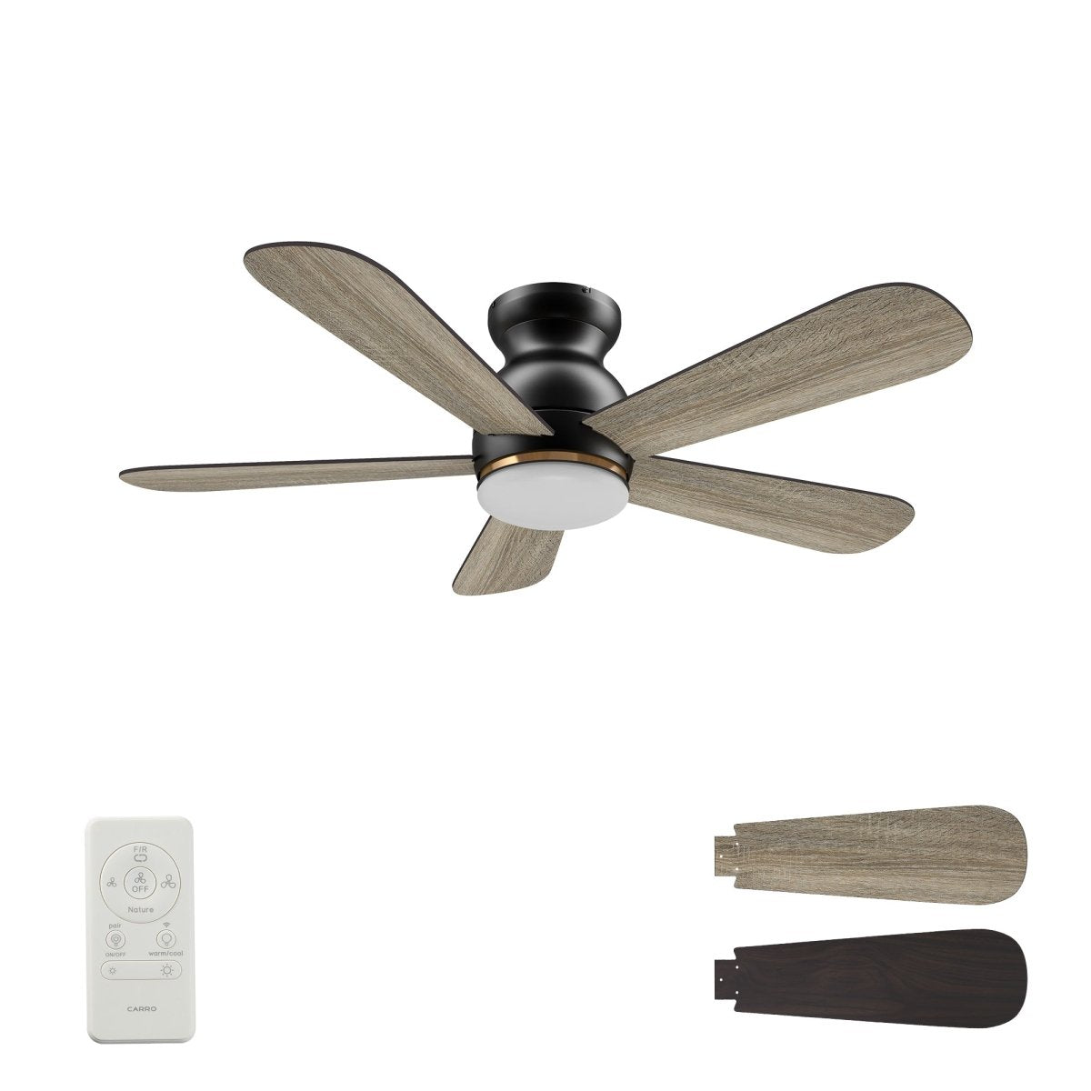 DUBOIS 48 inch 5 - Blade Flush Mount Smart Ceiling Fan with LED Light & Remote - LEDMyPlace