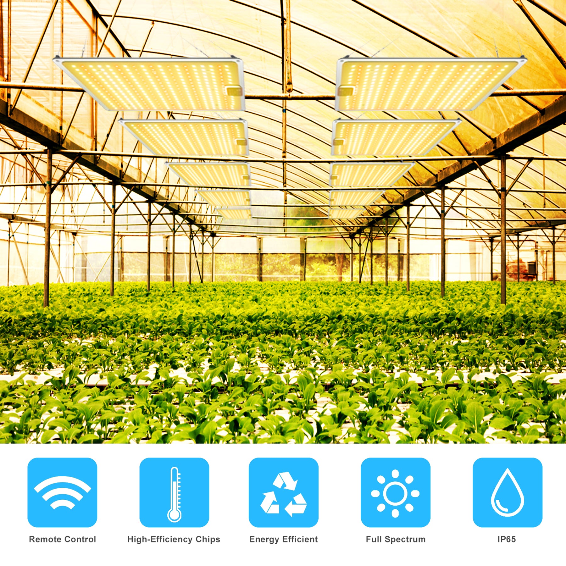 Full Spectrum LED Grow Light 2000W with UV/IR 