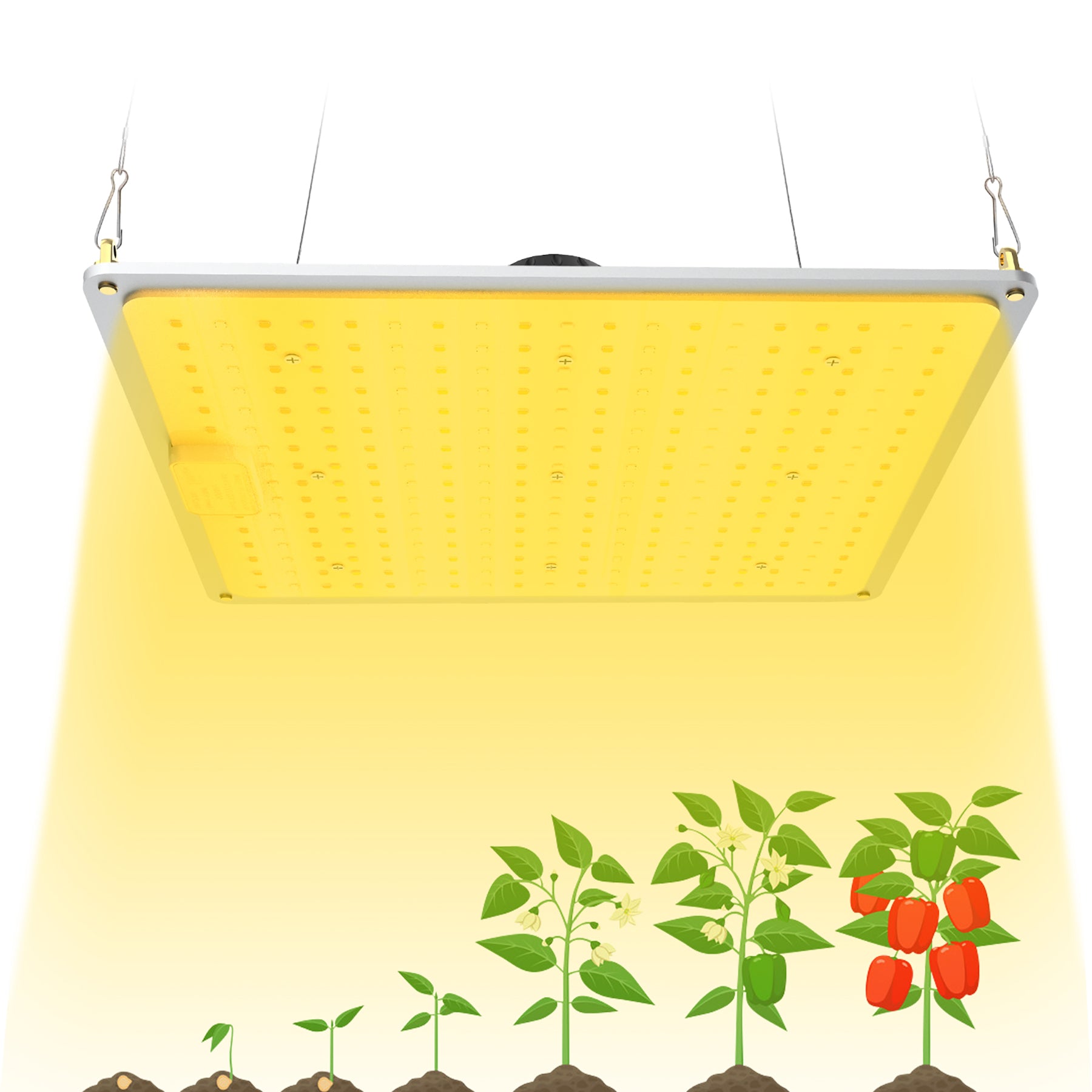 1000W Full Spectrum LED Grow Light with UV/IR for Hydroponic Indoor Plants  Veg and Flower Growth