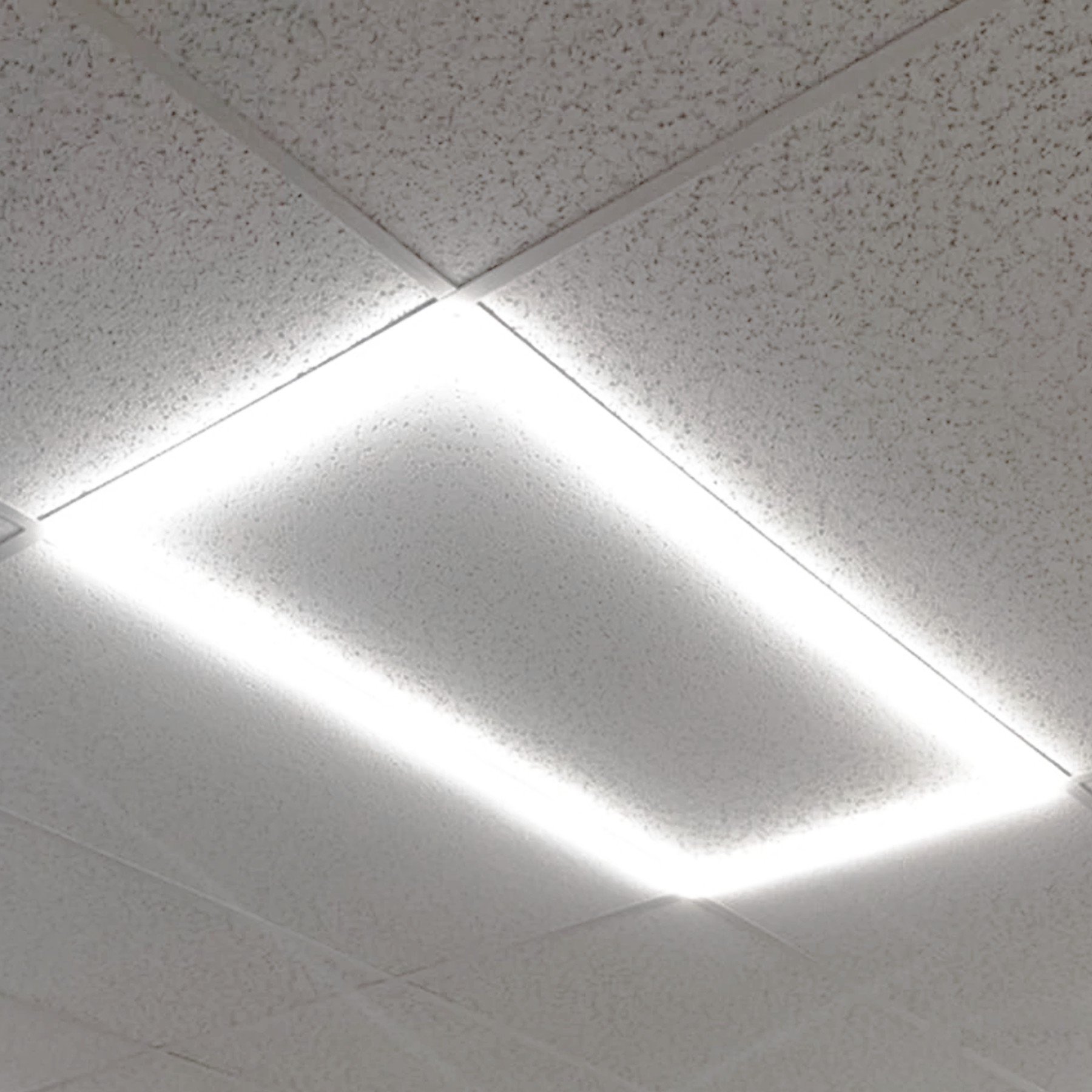 2X4 Led Light Fixture | Shelly Lighting