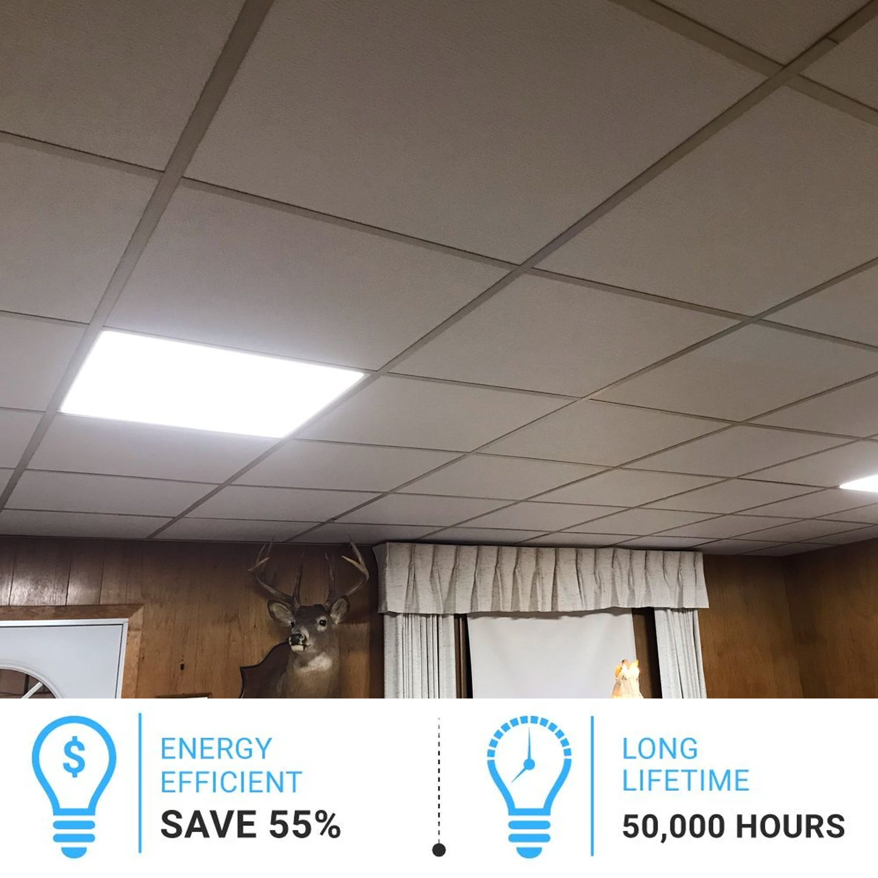 Suspended Ceiling Light Diffuser Panels | Shelly Lighting